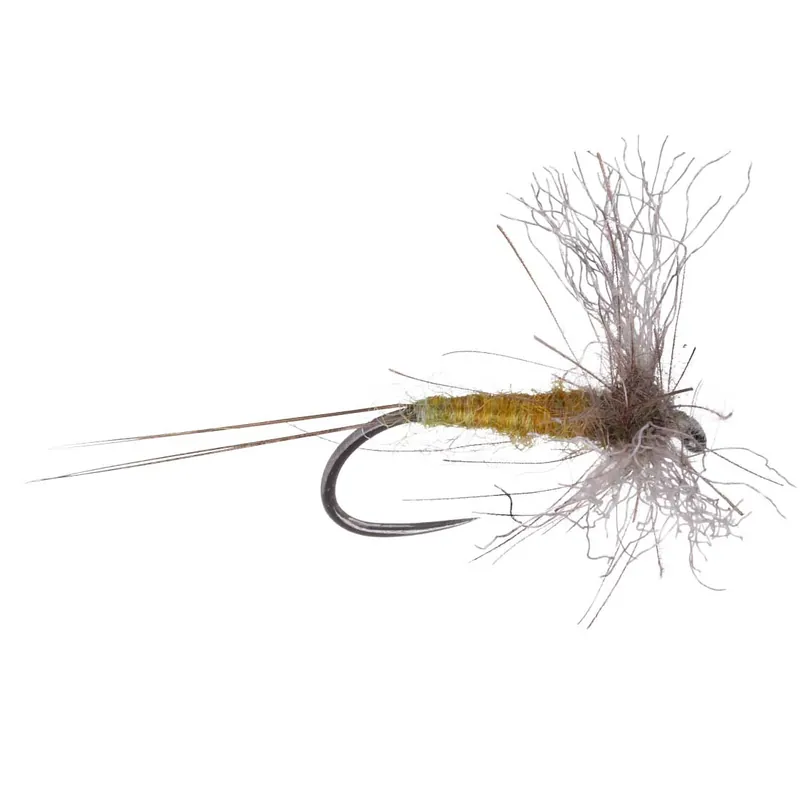 Guideline Trockenfliege PC Spent Golden Olive Barbless- 14