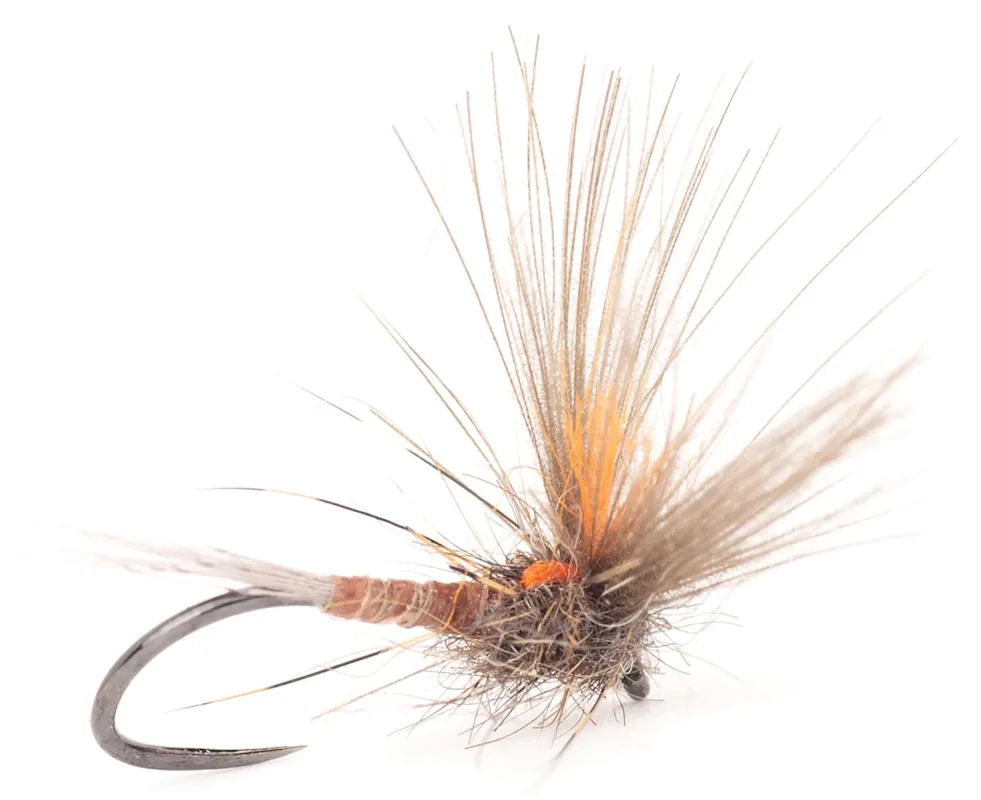 Guideline Trockenfliege Split Wing Dun Golden Olive Barbless- 16
