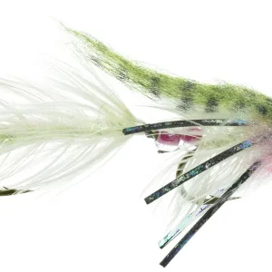 Umpqua Streamer Baby Gonga Rainbow #8-