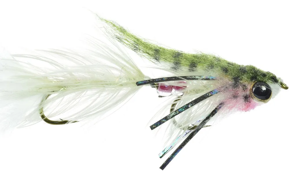Umpqua Streamer Baby Gonga Rainbow #8-