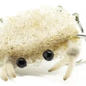 Superflies Contraband Crab #4-
