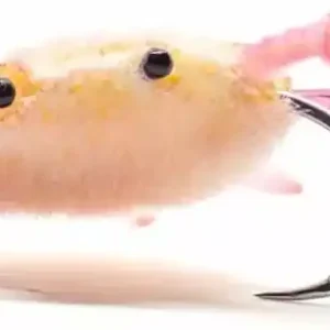 Superflies Fleeing Crab Tan / Barred Pink Legs- 2