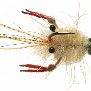 Enrico Puglisi EP® TARANTULA CRAB - MOTTLED TAN - #1-