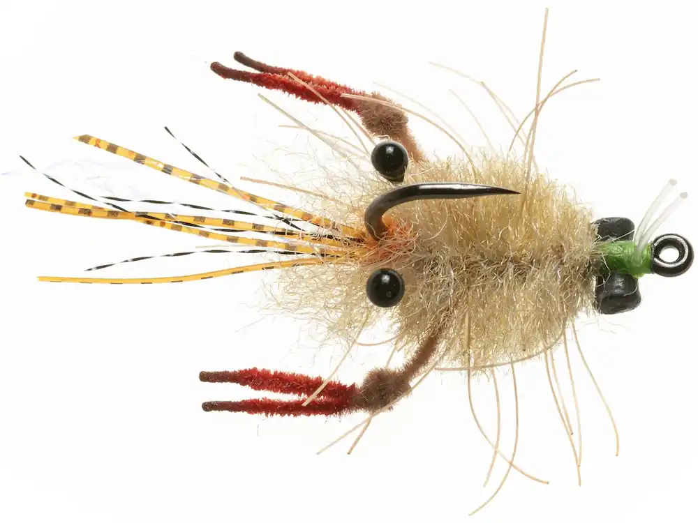 Enrico Puglisi EP® TARANTULA CRAB - MOTTLED TAN - #1-