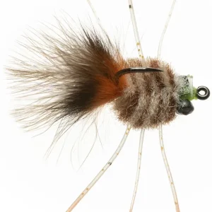 Enrico Puglisi EP® CRAB - 3-TONE-                                                                                                                                                                                                                        2