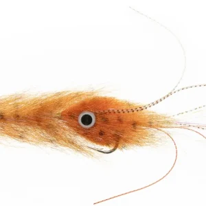 Enrico Puglisi EP® FLEX CALAMARI STREAMER - ORANGE-                                                                                                                                                                                                                        5/0