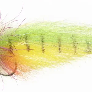 Enrico Puglisi AMAZON SPECIAL - CHARTREUSE / ORANGE / YELLOW - #4/0-