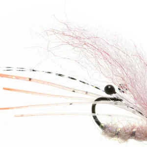 Enrico Puglisi GHOST SHRIMP - PINK - #6-