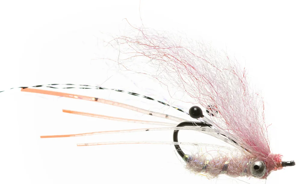 Enrico Puglisi GHOST SHRIMP - PINK - #6-