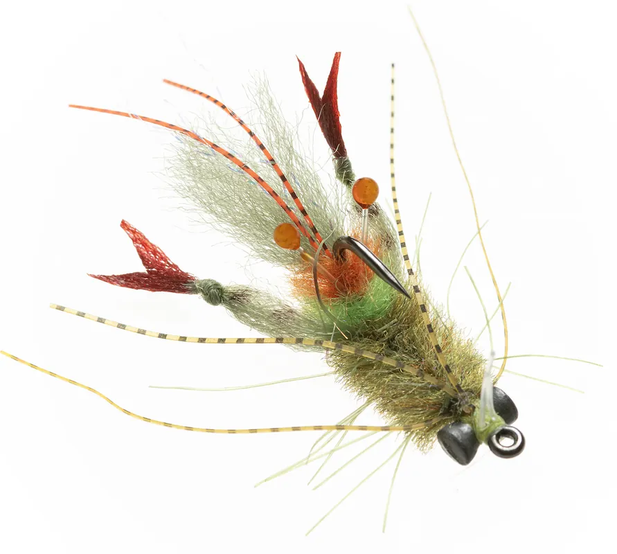 Enrico Puglisi EP® SCAMPI SHRIMP - GRASS - #2-