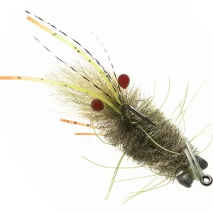 Enrico Puglisi MANTIS SHRIMP - OLIVE - #6-