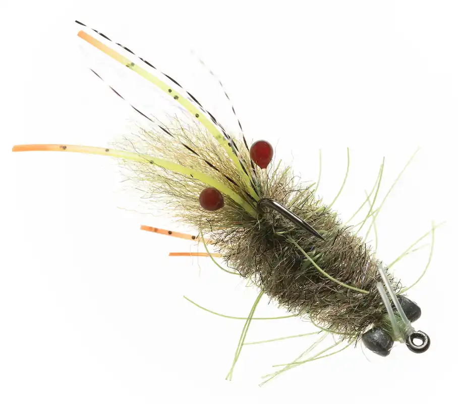 Enrico Puglisi MANTIS SHRIMP - OLIVE - #6-
