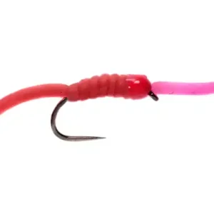 Fulling Mill Nymphe - Squirmy Wiggly Worm Two Tone Barbless-                                                                                                                                                                                                                        8