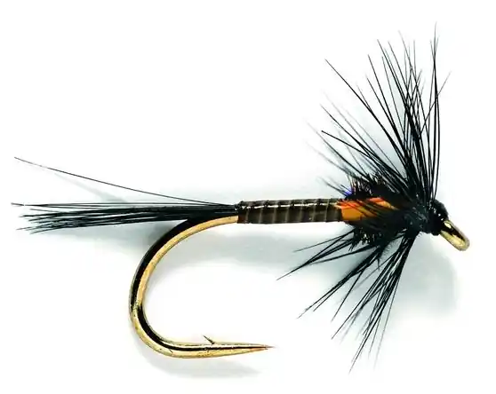 Fulling Mill Buzzer Traffic Light Black Nymph-