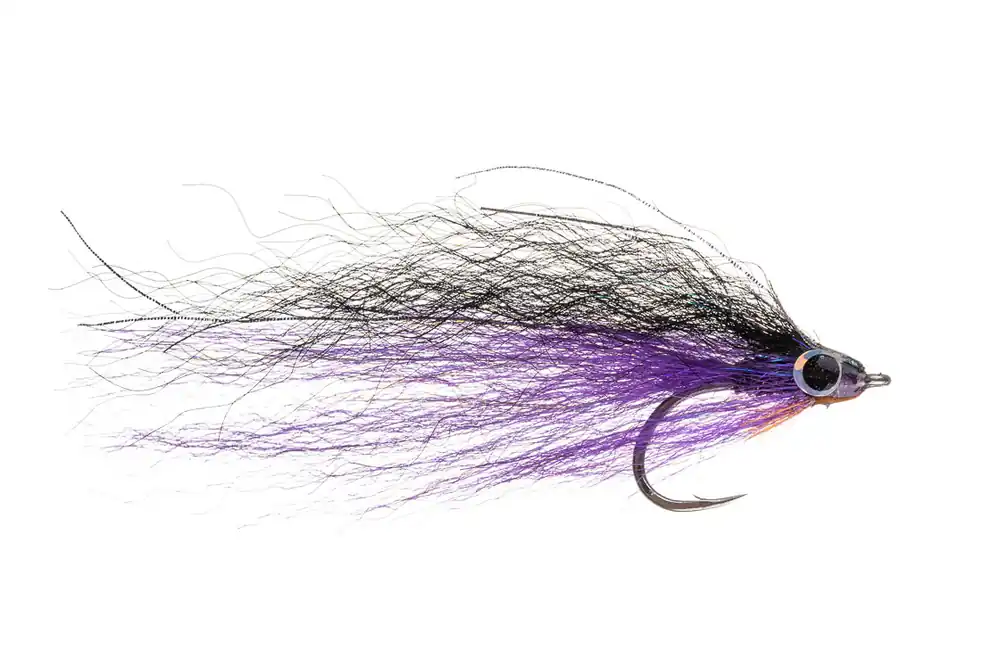 Fishient H2O Streamer - Tiger Deceiver black & purple-
