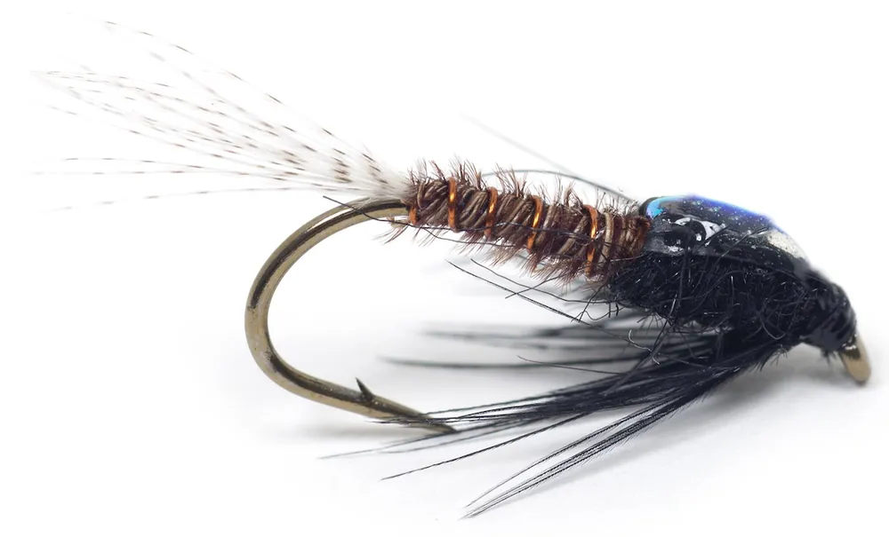 Guideline Nymphe - DK Brown Flashback PTN- 12