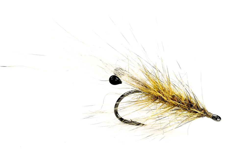 Guideline Meerforellenfliege - Coyote Grisen- 6