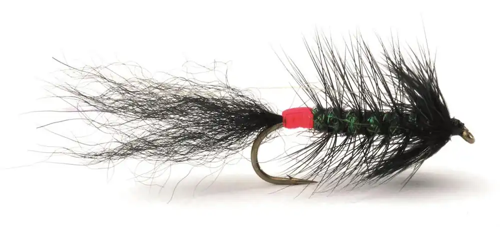Guideline Streamer - Kola Killer- 6