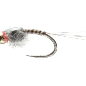 Soldarini Tungsten Nymphe - Quill Flashback Red Neck- 12