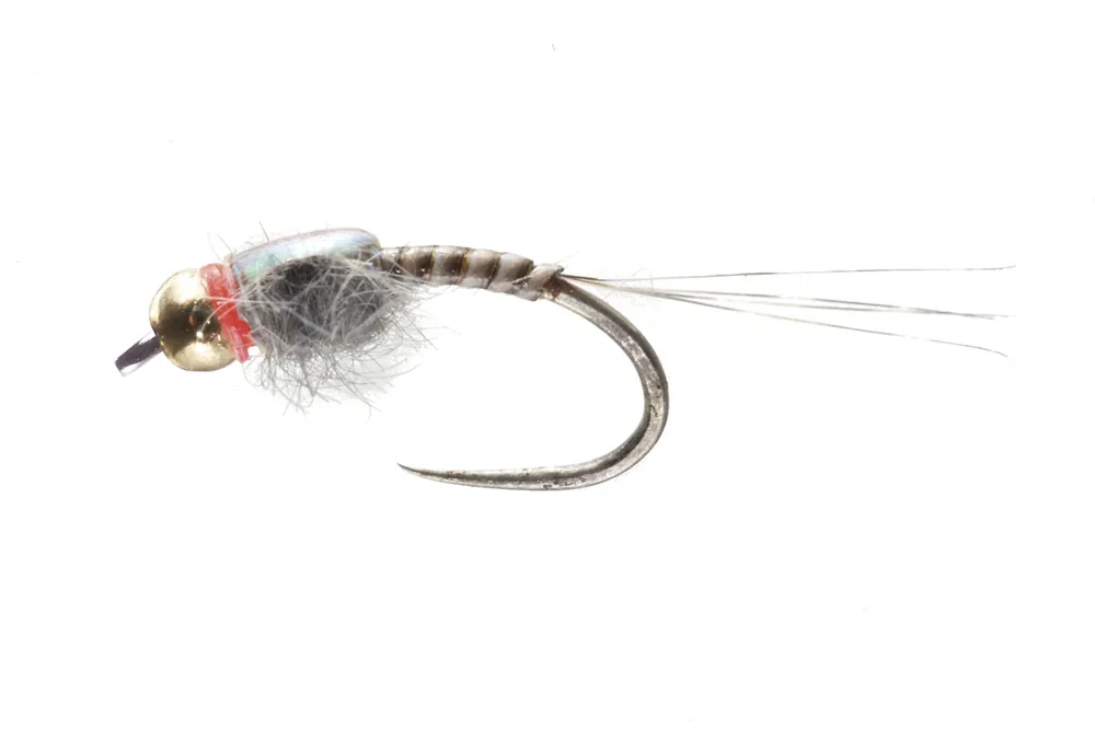 Soldarini Tungsten Nymphe - Quill Flashback Red Neck- 12