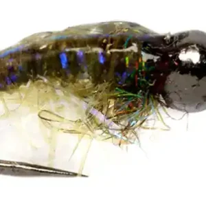 Fulling Mill Nymphe - Daniel's Chewy Caddis Barbless- 12
