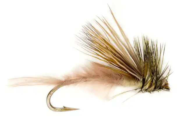 Fulling Mill Trockenfliege - Procter's Mayfly Emerger Maifliege- 10