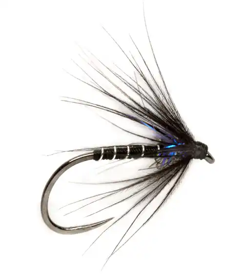 Fulling Mill Nassfliege - Procter Ice Thorax Black Spider Barbless-