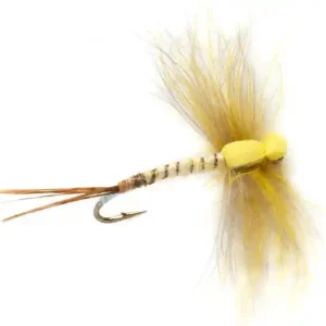 Fulling Mill Trockenfliege - Procter's Stillborn Mayfly Maifliege- 10
