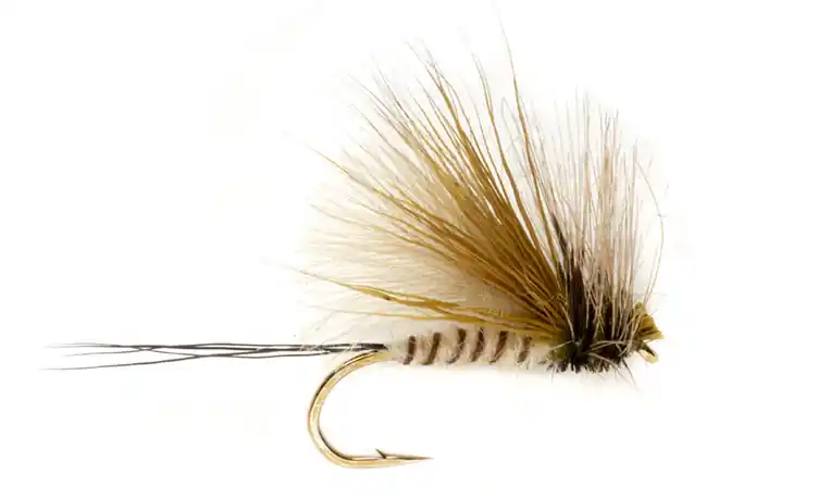 Fulling Mill Trockenfliege - Procter's Active Mayfly Dun Maifliege- 10