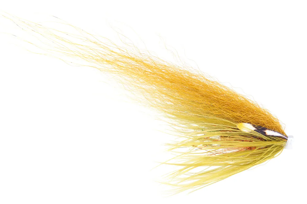 Guideline Tubenfliege Hajas Andersson Boliven LT-