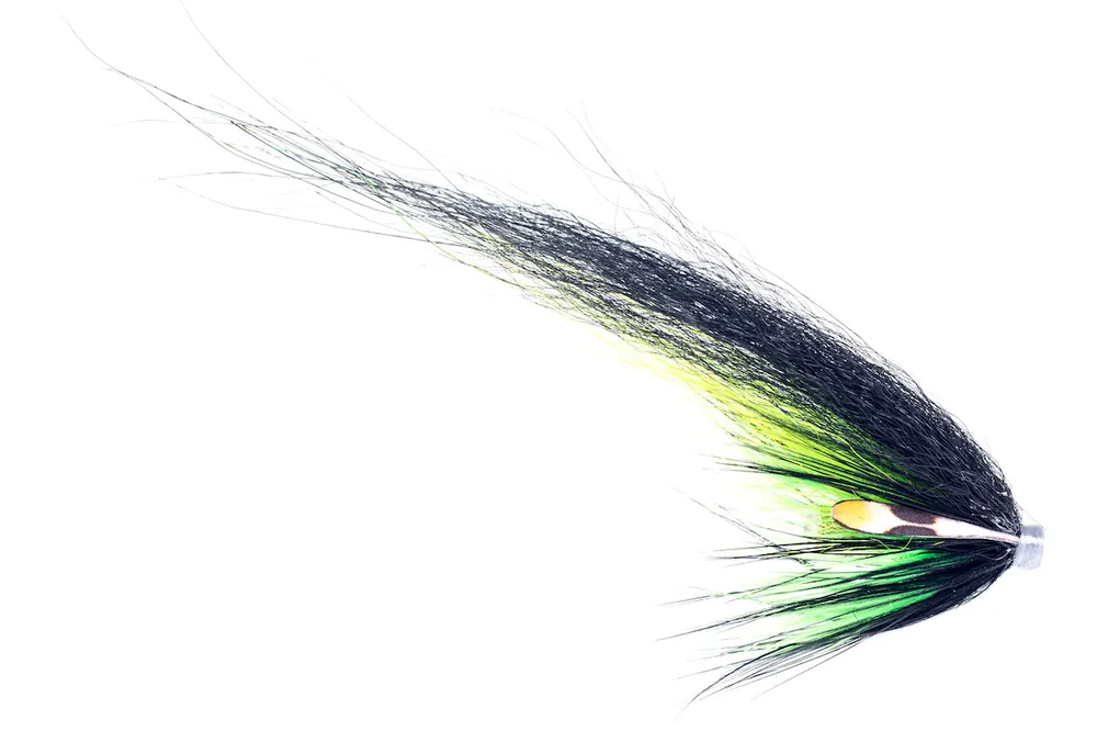 Guideline Tubenfliege Hajas Andersson Porridge Pool LT-