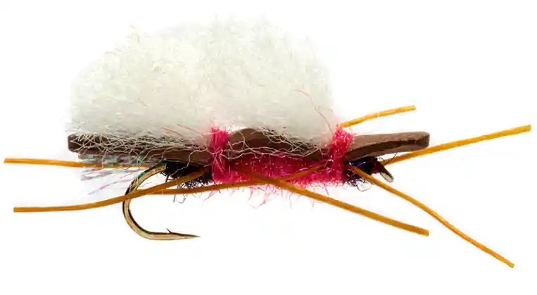 Fulling Mill Trockenfliege - Chubby Royal Raspberry Käfer- 6