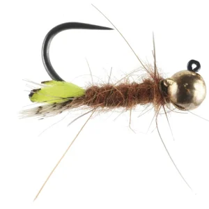 Soldarini Tungsten Jig Nymphe - Peeping Caddis Gold Bead- 10
