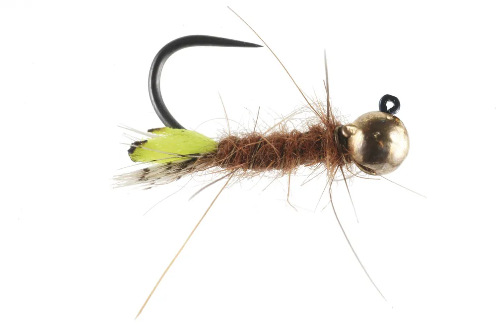 Soldarini Tungsten Jig Nymphe - Peeping Caddis Gold Bead- 10
