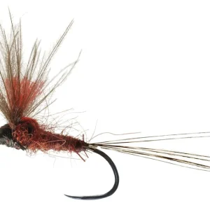 Soldarini Trockenfliege - Special Rusty Hi-Viz CDC-