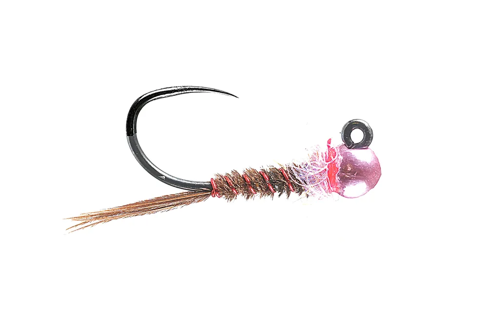 Soldarini Tungsten Jig Nymphe - Metallic Pink Pheasant Tail- 14