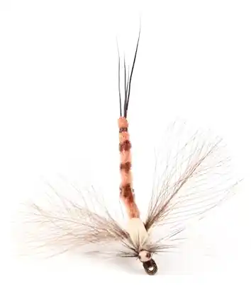 Guideline Trockenfliege - Danica Spent Spinner-
