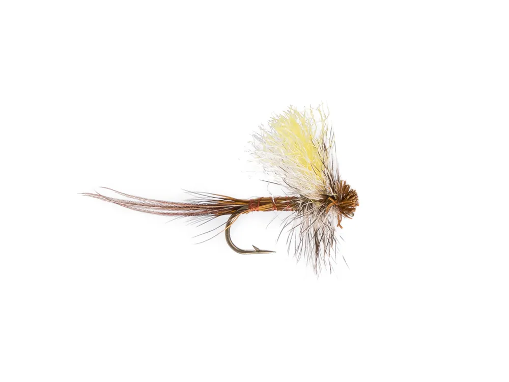 Tailed Dry or Die Trockenfliege-
