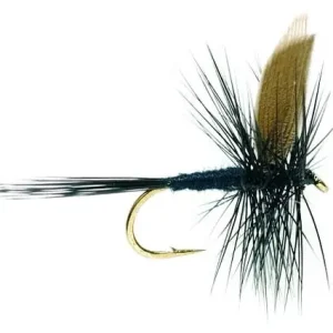 Fulling Mill Trockenfliege - Black Gnat-                                                                                                                                                                                                                        12