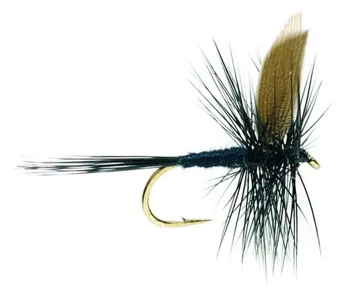 Fulling Mill Trockenfliege - Black Gnat- 12