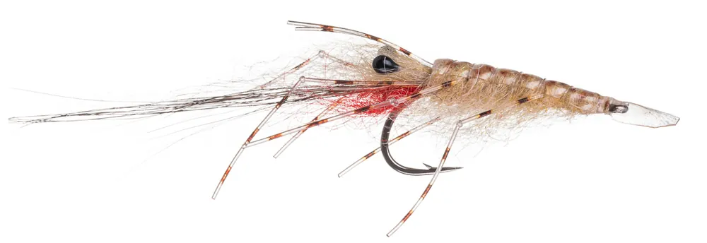 Guideline Meerforellenfliege Leoshrimp tan-