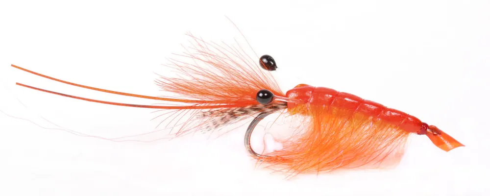 Guideline Meerforellenfliege Orange CDC Shrimp-