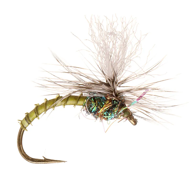 Guideline Trockenfliege - Klink Lt. Olive Biot-