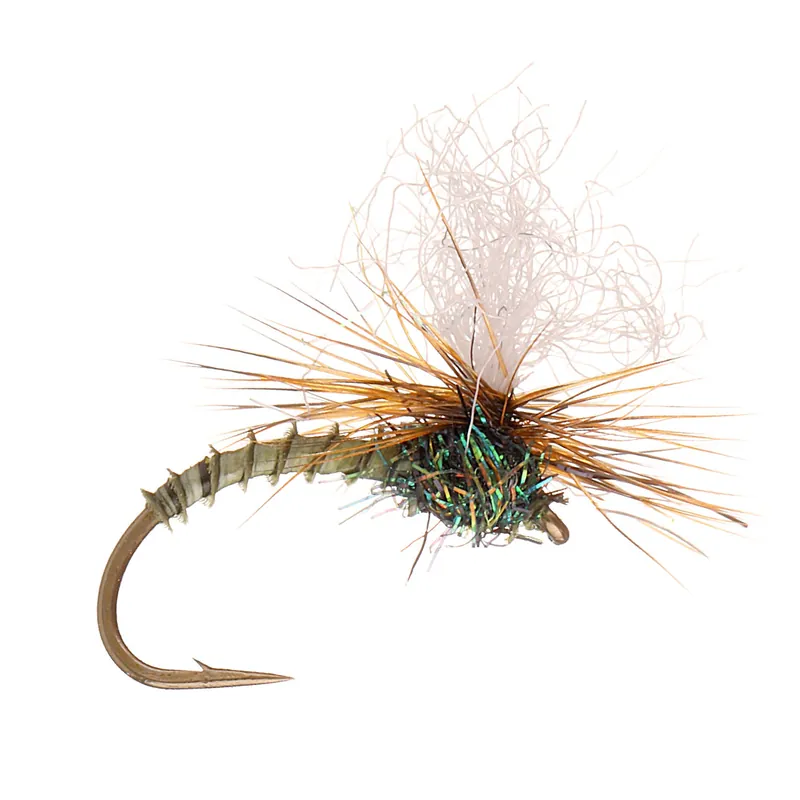 Guideline Trockenfliege - Klink Dk. Olive Biot-