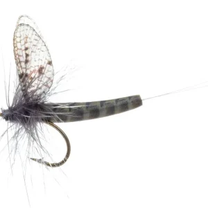 Vania Realistic Mayfly Grey Drake Trockenfliege-