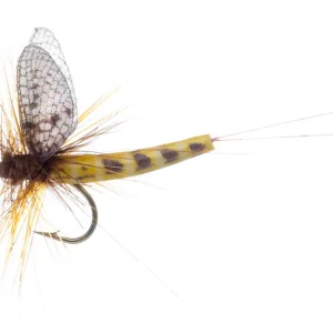 Vania Realistic Mayfly Danica SP Trockenfliege-