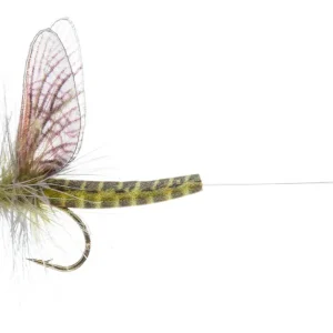 Vania Realistic Mayfly Green Drake Western CDC Trockenfliege-