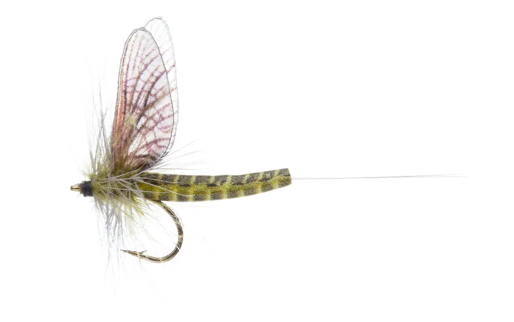 Vania Realistic Mayfly Green Drake Western CDC Trockenfliege-
