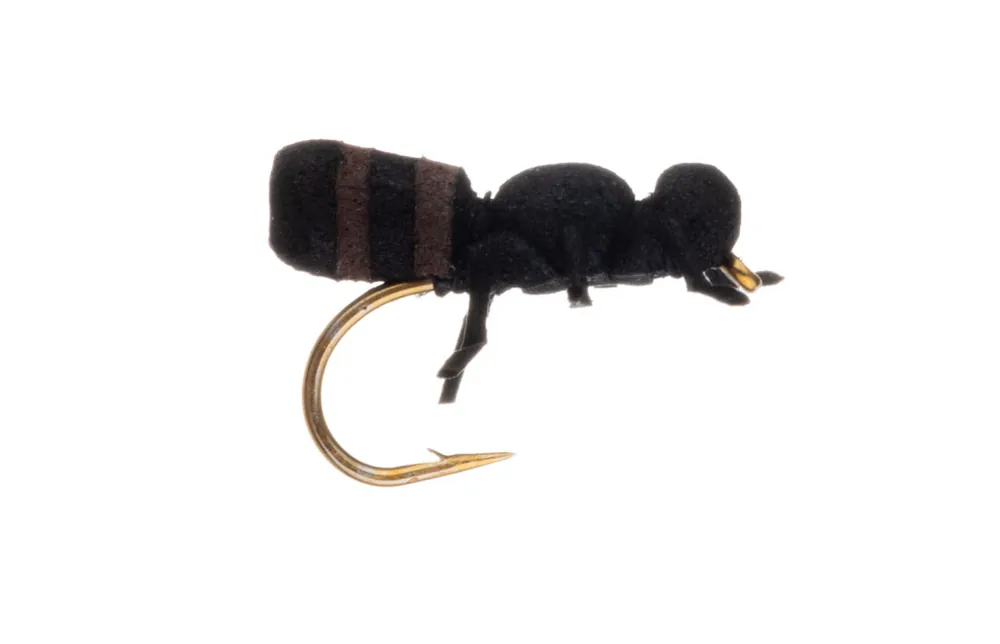 Vania Realistic True Ant Ameise Trockenfliege cinnamon-