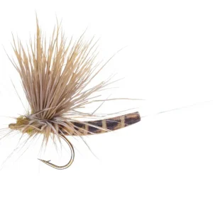 Vania Realistic Mayfly Elk Wing Vulgata Trockenfliege-